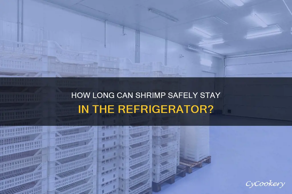 can shrimp stay in refrigerator