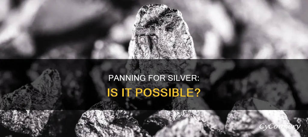 can silver be panned