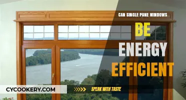 Single-Pane Windows: Energy Efficient or Not?