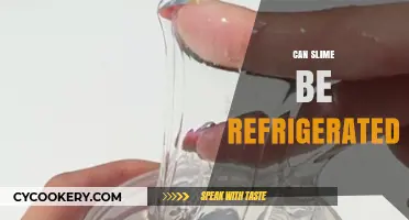 Can Slime Be Refrigerated? Tips for Preserving Your Gooey Fun