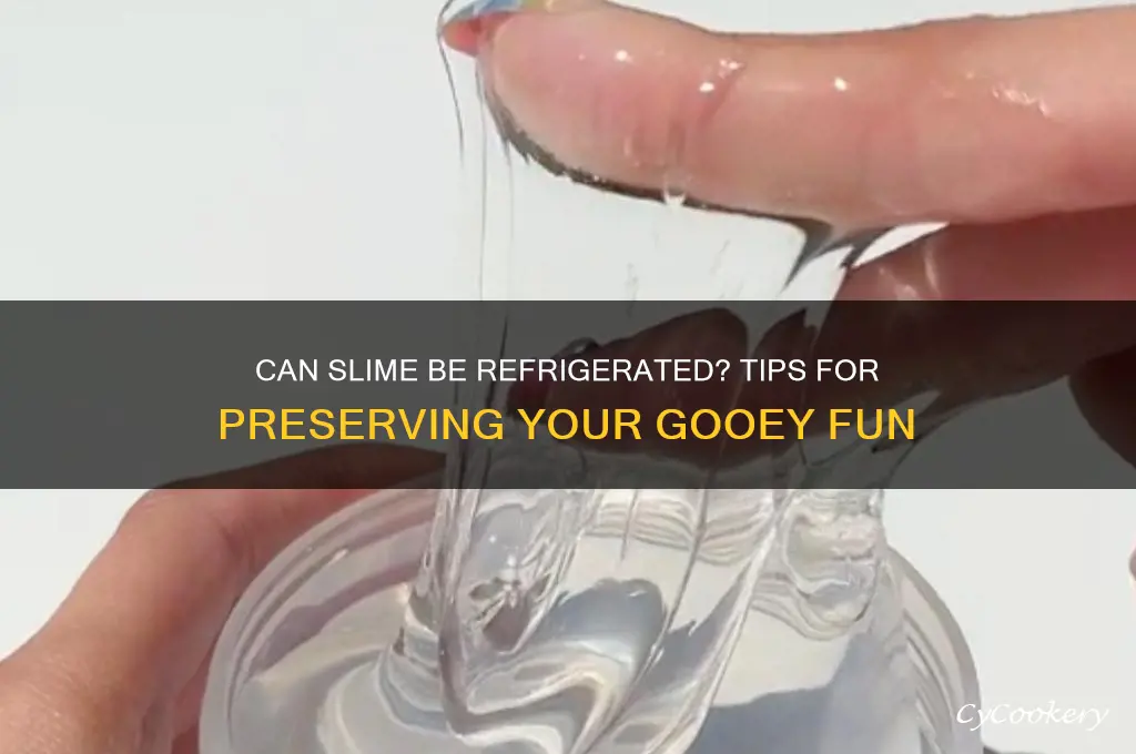 can slime be refrigerated