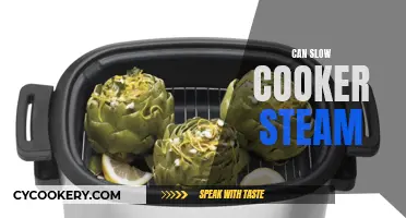 Steaming in Slow Cookers: Is It Possible?