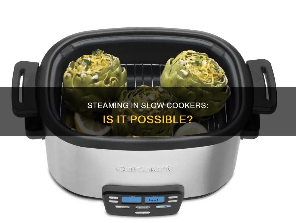 can slow cooker steam