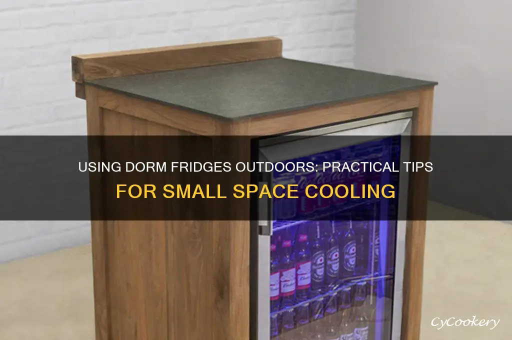 can small dorm room refrigerators be used outside