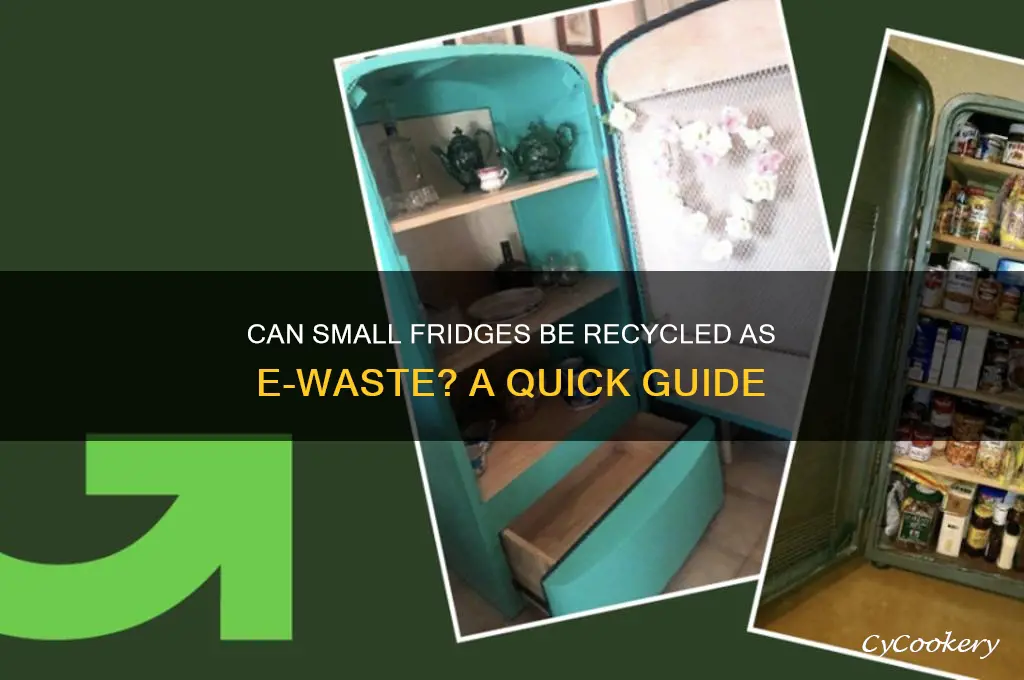can small refrigerators go in ewaist