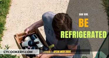 Can Soil Be Refrigerated? Exploring Unusual Storage Methods for Healthy Plants