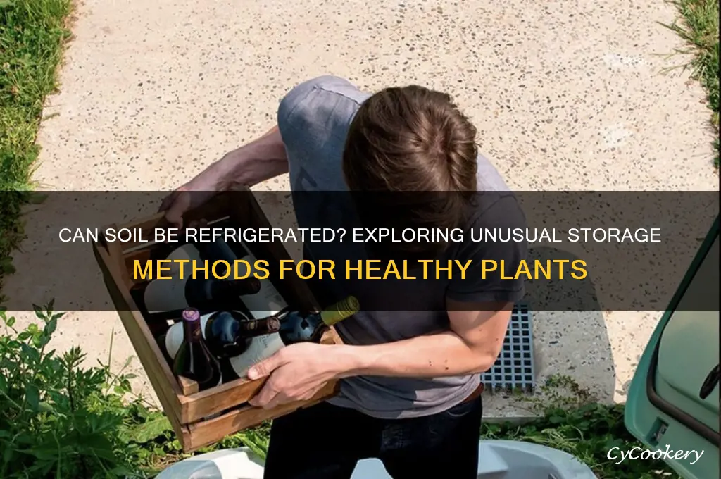 can soil be refrigerated