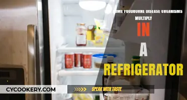 Can Foodborne Pathogens Multiply in Your Refrigerator? Facts Revealed
