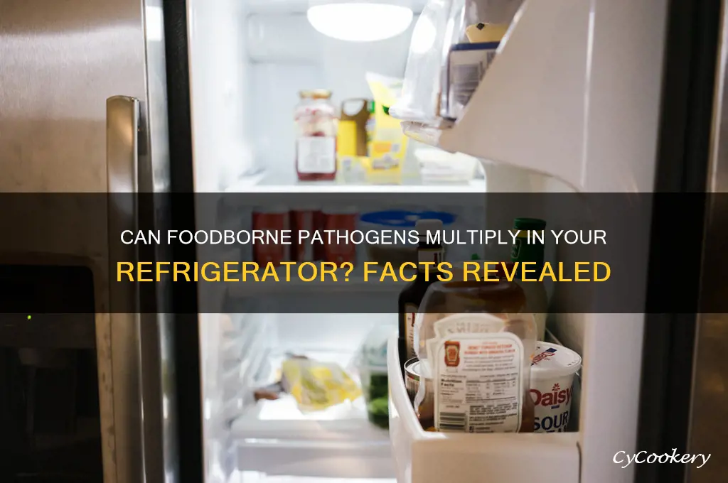 can some foodborne disease organisms multiply in a refrigerator