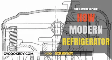 Understanding Modern Refrigerators: How They Work and Why They're Efficient