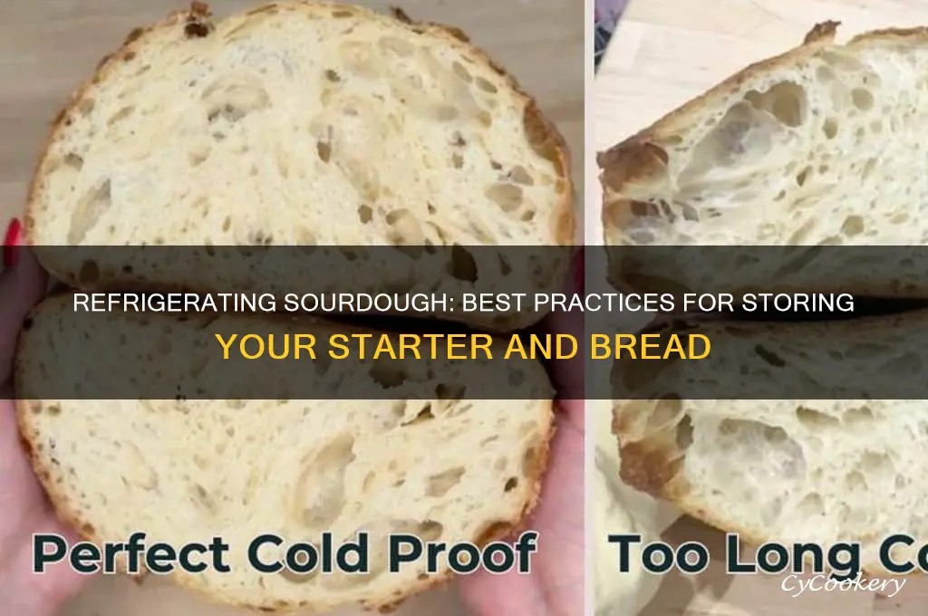can sourdough be refrigerated
