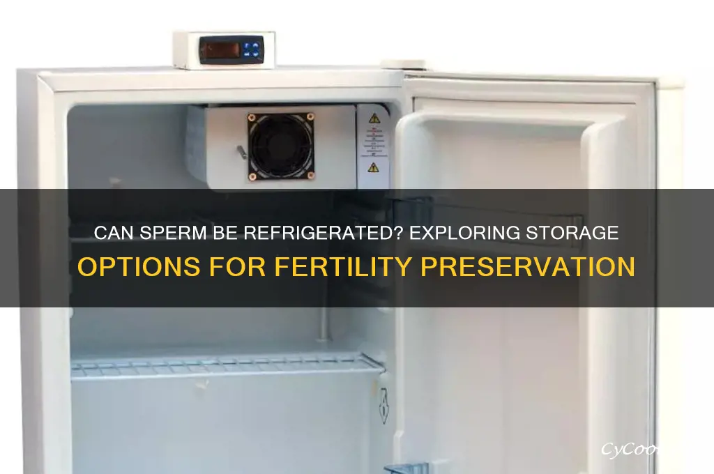 can sperm be refrigerated