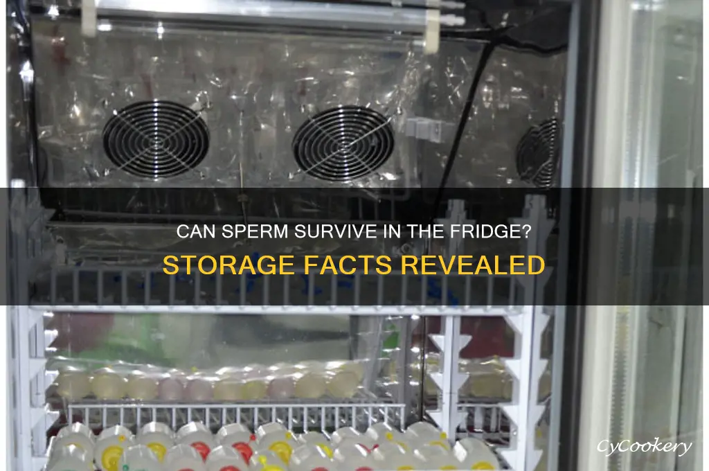 can sperm be stored in the refrigerator