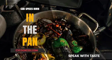 Spices Burning in the Pan: What's Happening?