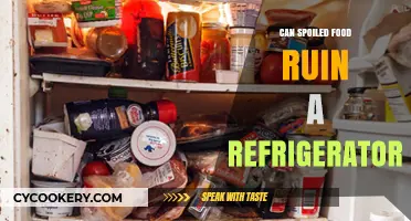 Spoiled Food in Your Fridge: Risks and Refrigerator Damage Explained