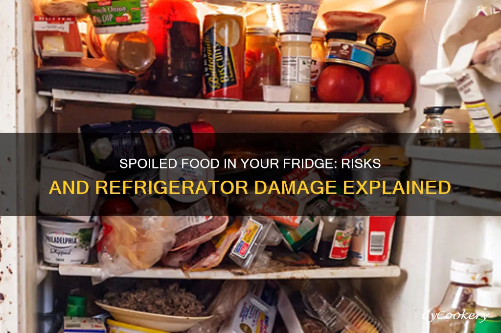 can spoiled food ruin a refrigerator