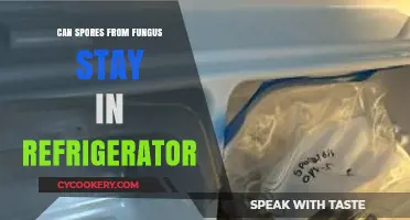 Can Fungal Spores Survive in Your Refrigerator? What You Need to Know