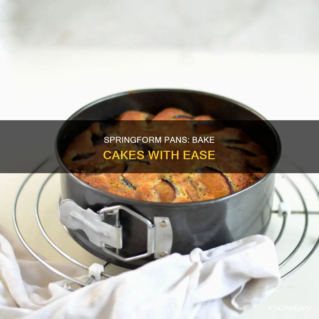 can springform pan bake cake