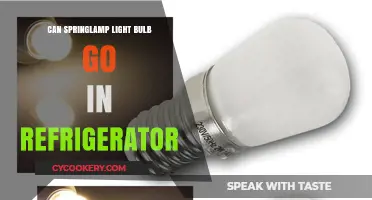 Can Springlamp Bulbs Safely Light Your Refrigerator? Find Out Here
