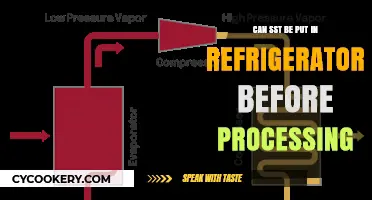 Can SST Be Refrigerated Before Processing? Essential Tips and Insights