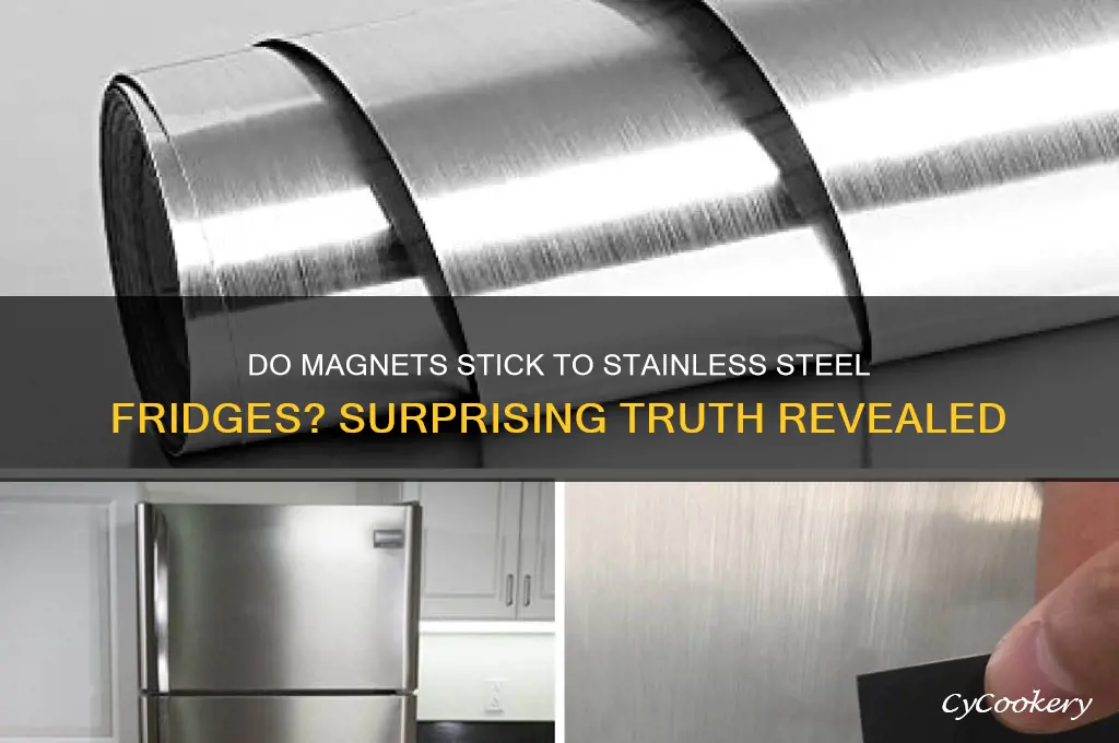 can stainless steel refrigerators hold magnets