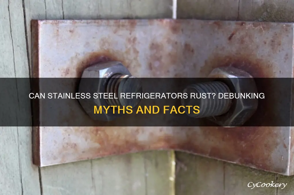 can stainless steel refrigerators rust
