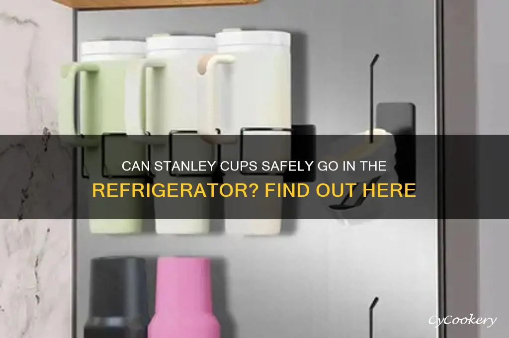 can stanley cups go in the refrigerator