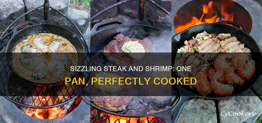 can steak and shrimp be cooked in same pan