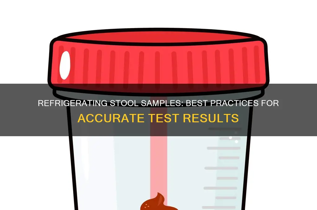 can stool sample be refrigerated