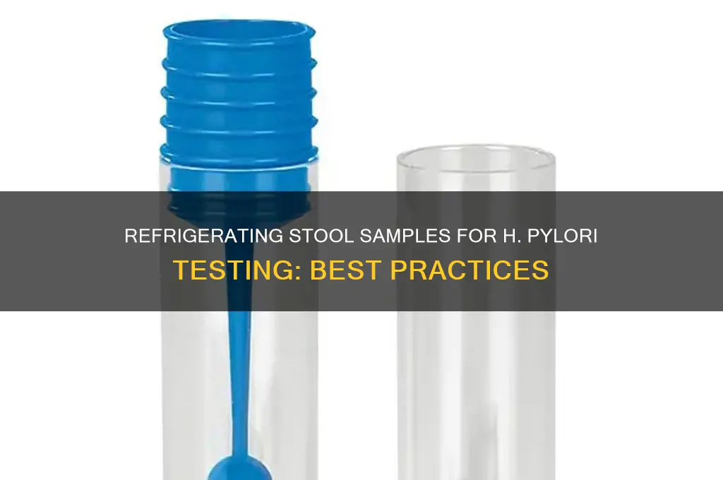 can stool sample for h pylori be refrigerated