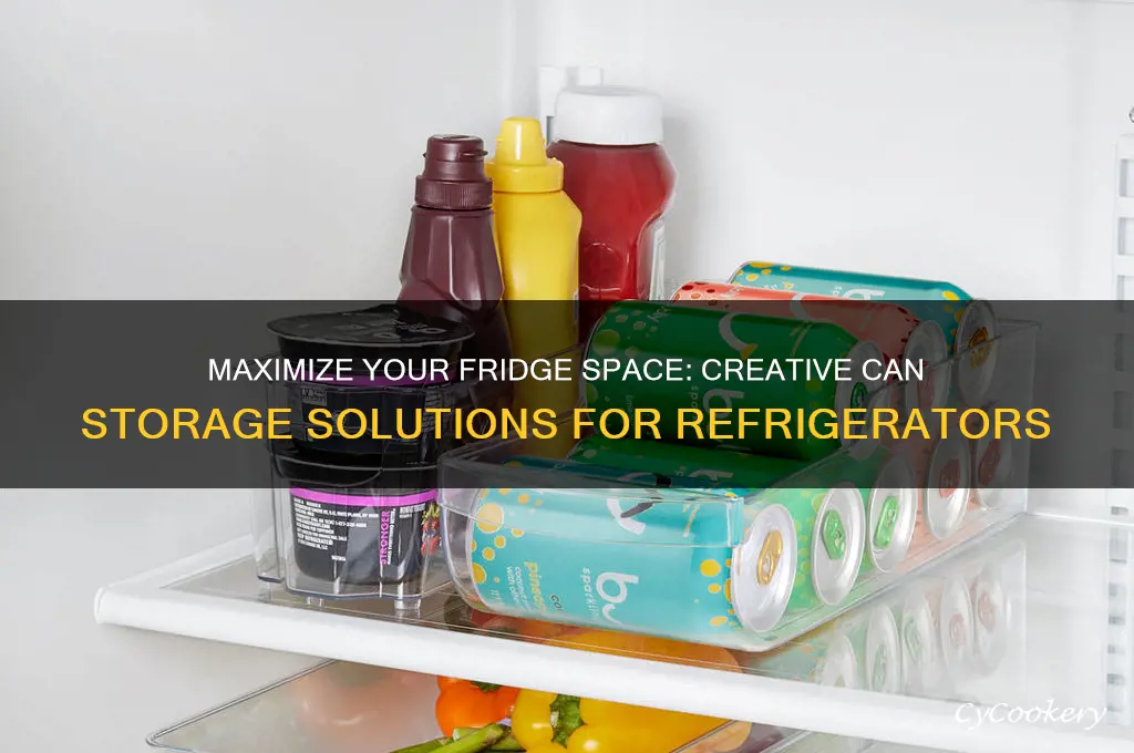 can storage for refrigerator