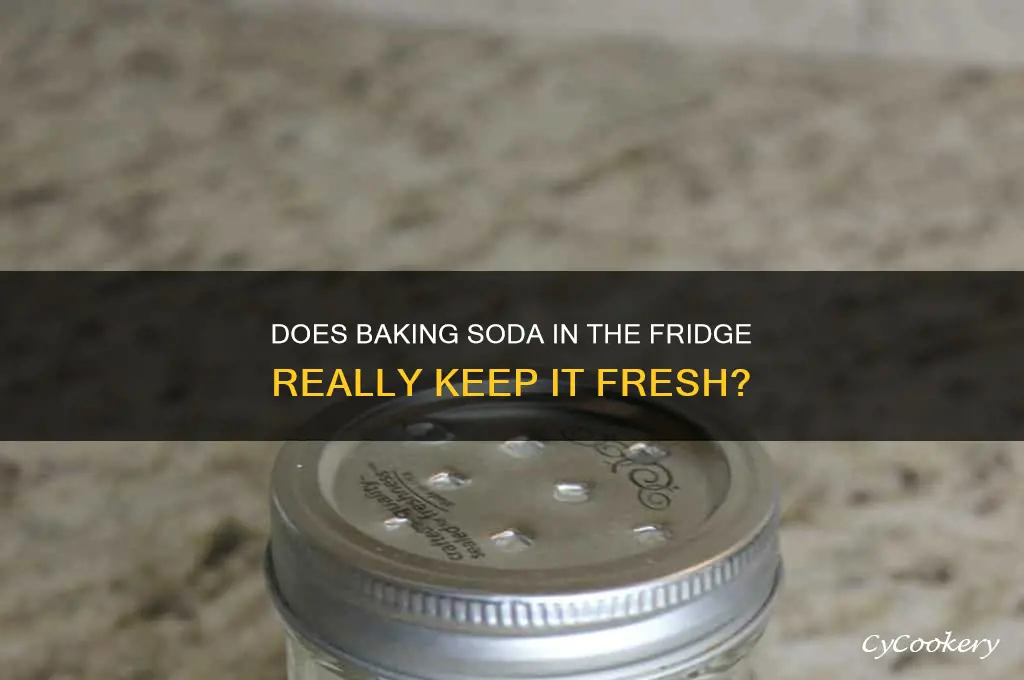 can store baking soda refrigerator