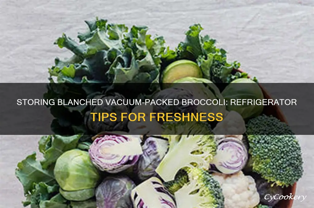 can store blanched vacuum packed brocolli in refrigerator