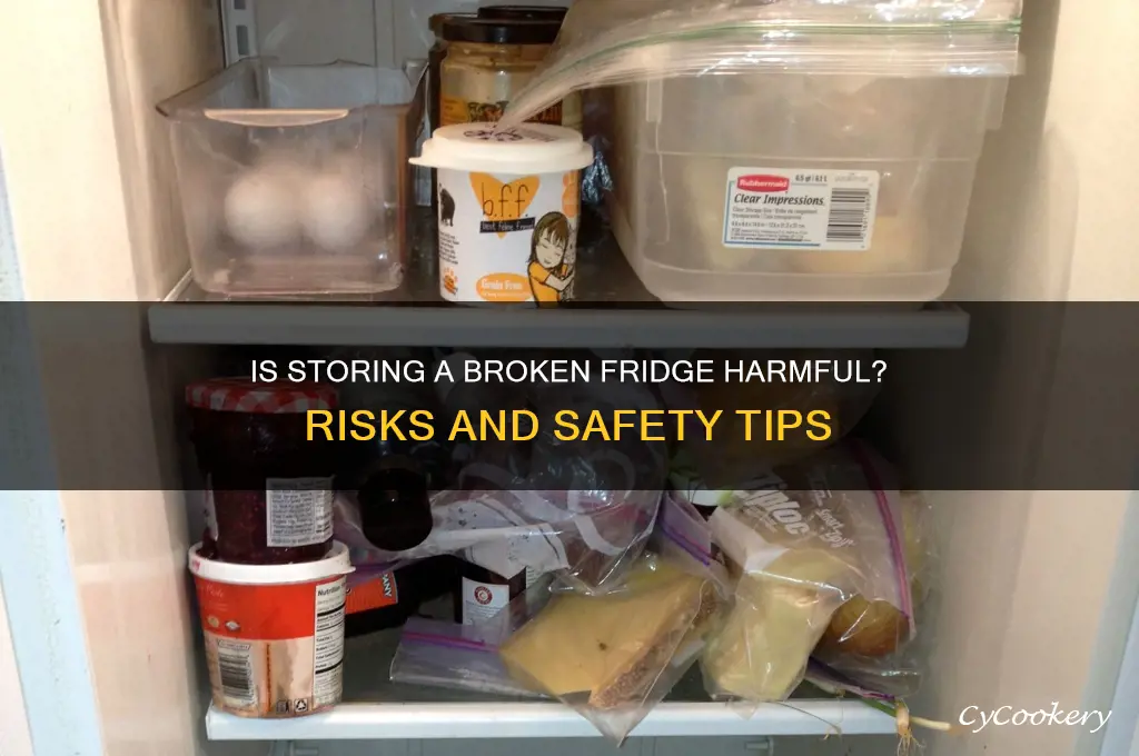 can storing a non working refrigerator be harmful