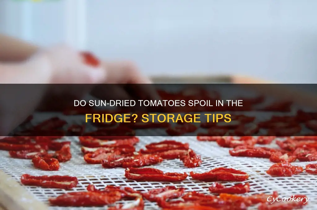 can sun dried tomatoes go bad in the refrigerator