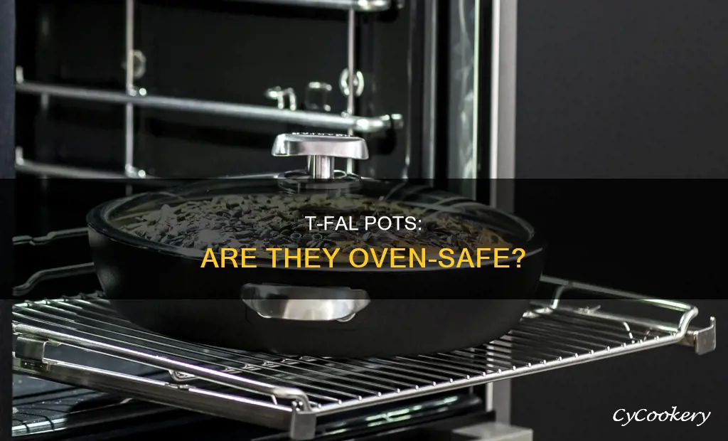 can t fal pots go in the oven