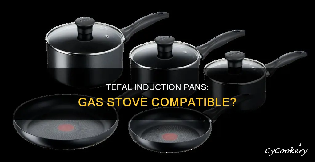 can tefal induction pans be used on gas