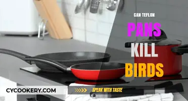 Teflon Pans: A Lethal Danger to Pet Birds