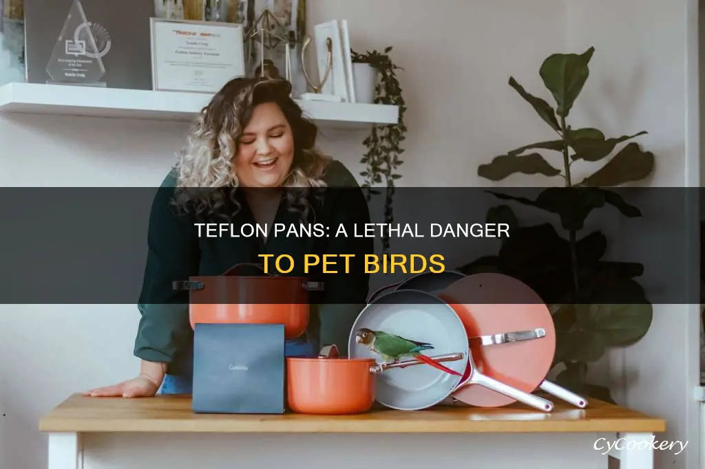 can teflon pans kill birds