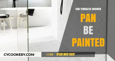 Terrazzo Shower Pan: Paint or Not?