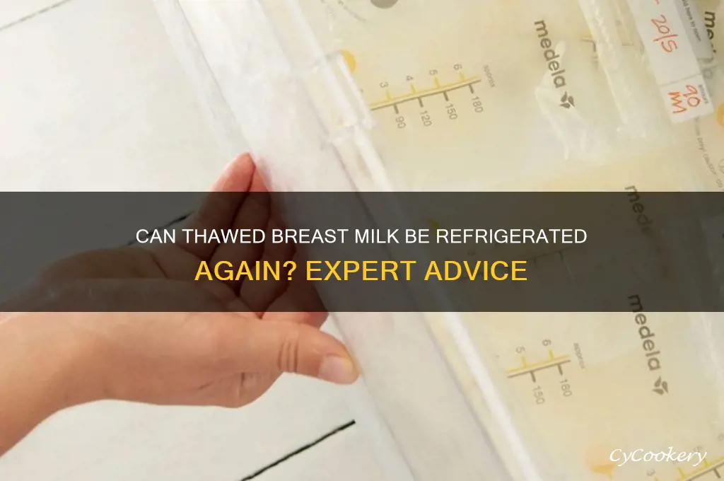 can thawed breast milk be refrigerated again