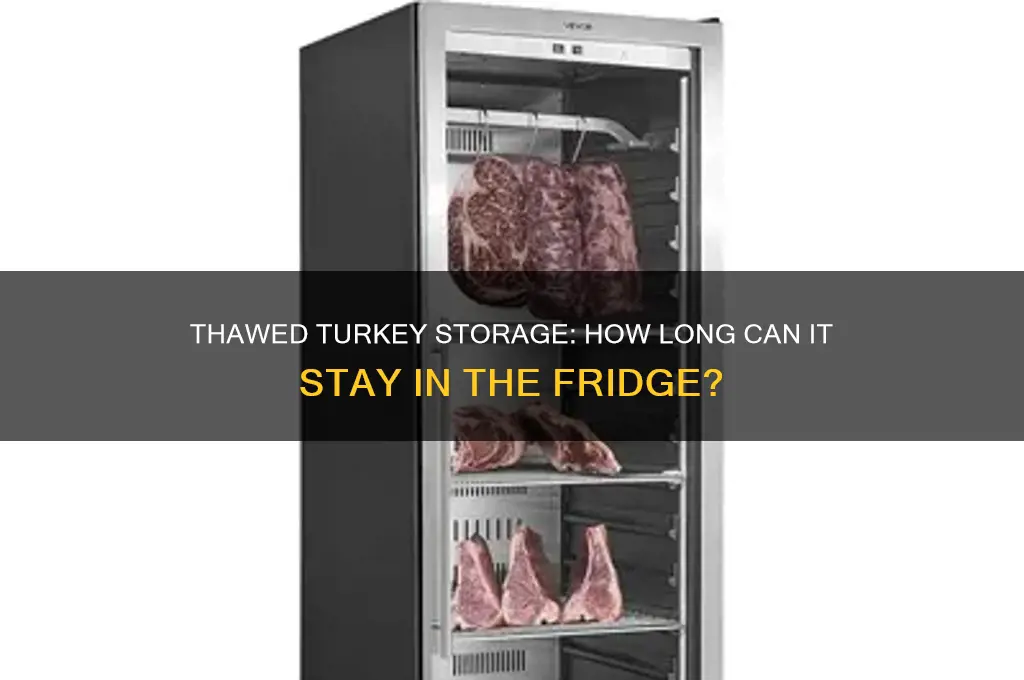 can thawed turkey be kept in refrigerator