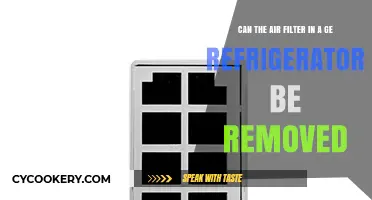 Can You Remove the Air Filter in a GE Refrigerator?