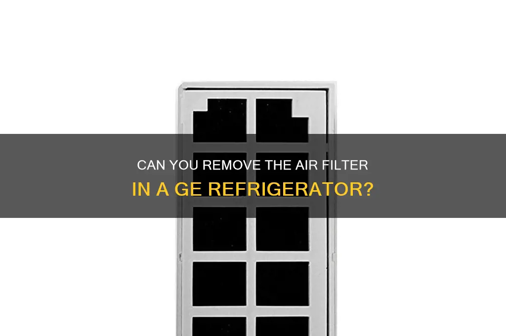can the air filter in a ge refrigerator be removed