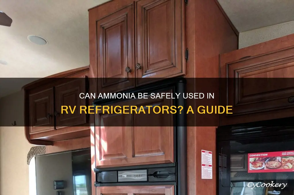 can the ammonia be filled on an rv refrigerator