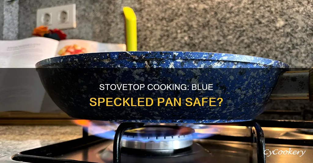 can the blue speckled pan go on stove top