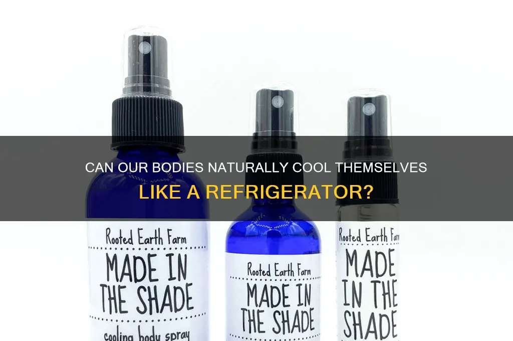 can the body refrigerate itself