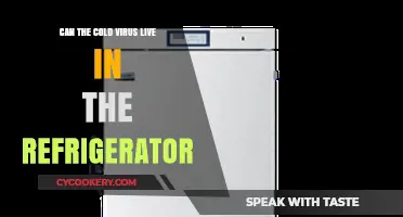Can Cold Viruses Survive in Your Refrigerator? The Surprising Truth