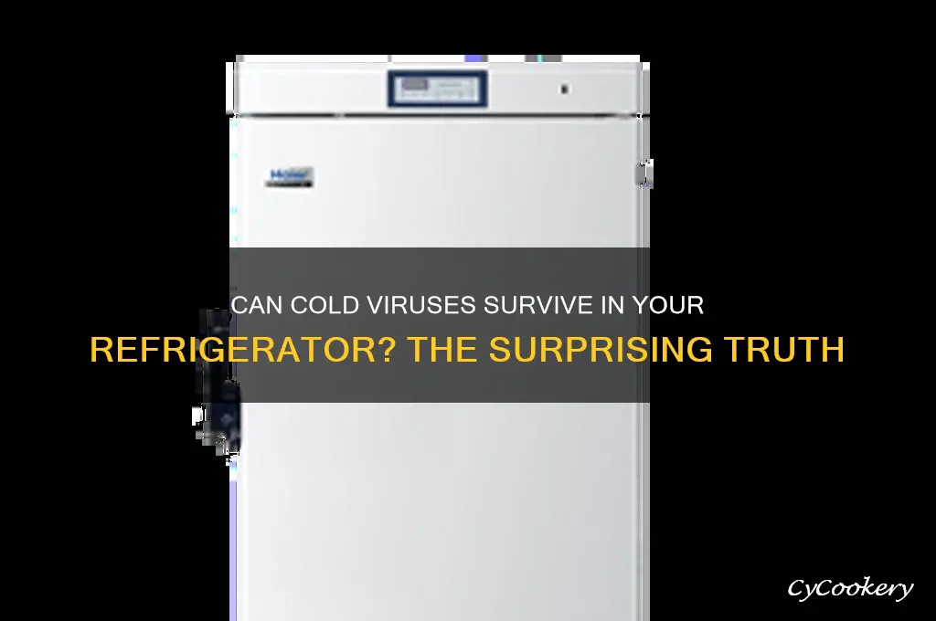 can the cold virus live in the refrigerator