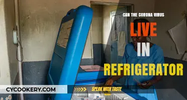 Can Coronavirus Survive in Your Fridge? Facts and Safety Tips